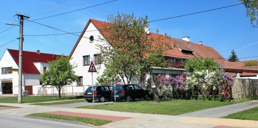Ubytovani U Vojtesky Pasohlávky Extérieur photo